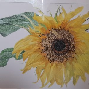 Sunflower Comet