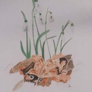 Spring At The Garden 3