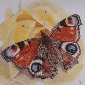 Onion Garden Visitor