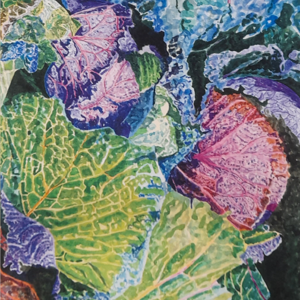 Cabbages