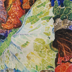 Cabbage Leaf