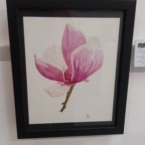 Friar Lane Gallery exhibitions (framed originals)