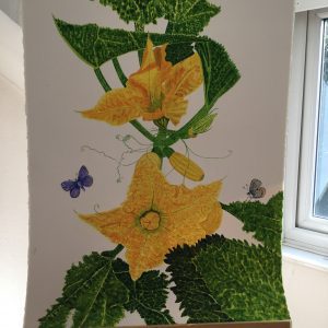 Two Zucchini Flowers and Two Common Blue Butterflies