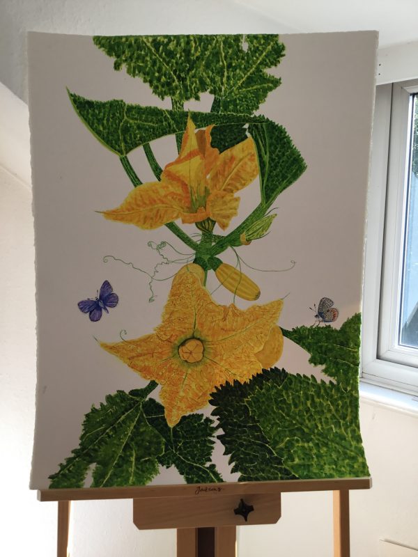 Two Zucchini Flowers and Two Common Blue Butterflies