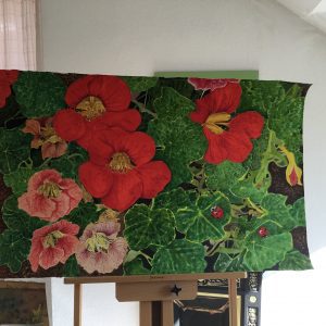 Nasturtiums and Ladybirds
