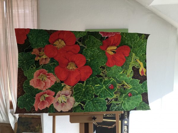 Nasturtiums and Ladybirds