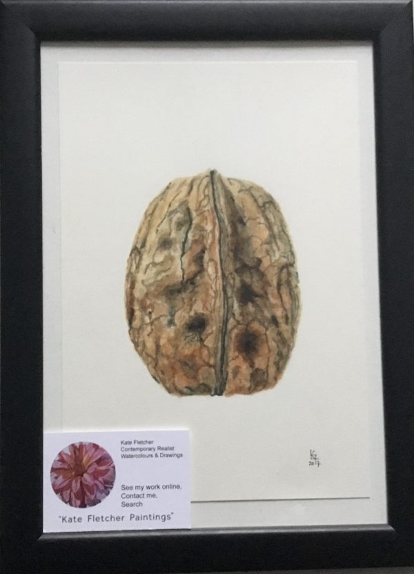 Walnut