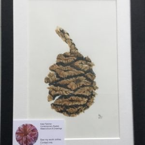 Pinecone - small watercolour