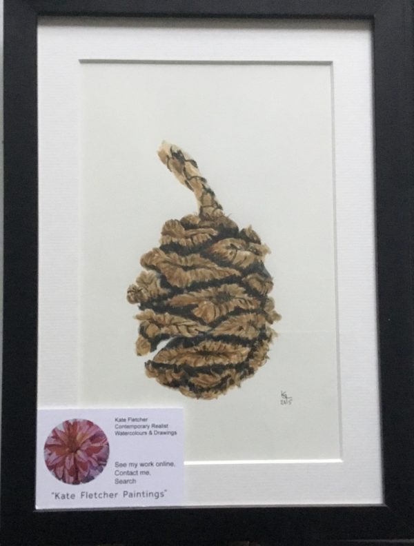 Pinecone - small watercolour