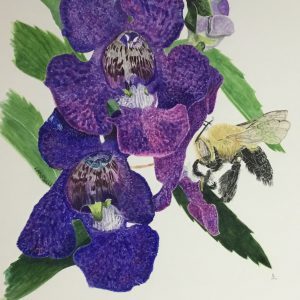 Blue Snapdragon - Bromley House Library 16