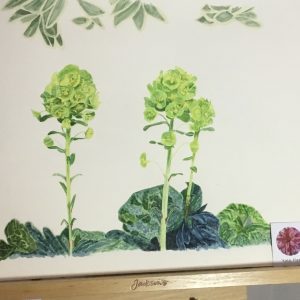 Is there such a thing as a green flower? - Bromley House Library 14