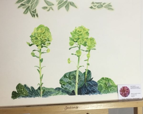 Is there such a thing as a green flower? - Bromley House Library 14