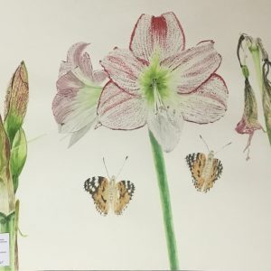 Shin Gyo So - Bromley House 12